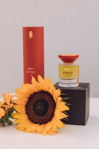 DysonDay2 0069 2 Copy