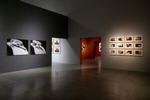 19361 Dox David Lynch Up In Flames Pohled Do Vystavy Foto Jan Slavik Cdox 11