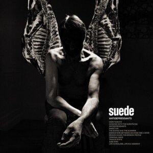 Suede A