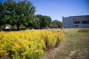 Kvtinov Louky Na Urnovm Hbitov Feuerhalle Simmering Friedhoefe Wien 7 Copyright Friedhöfe Wien