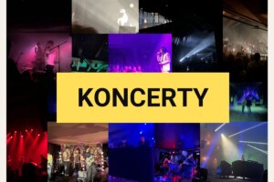 KONCERTY 2